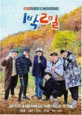 野生厨房记综艺封面
