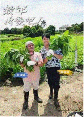城市漫游者综艺封面